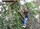IMG 4017