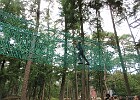 IMG 4028