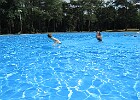 IMG 4087