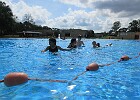 IMG 4091