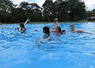 IMG 4094