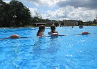 IMG 4098