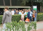 IMG 4109