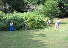 IMG 4125
