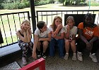 IMG 4129