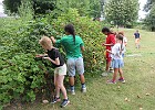 IMG 4132