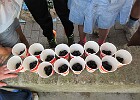 IMG 4137